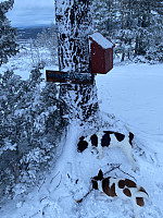 Harex_20220217_620e0c22e237b.jpg
