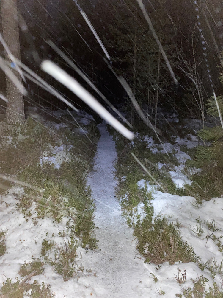 Begynte å snø. Fin oppgitt/oppkjørt sti, dog is noen steder