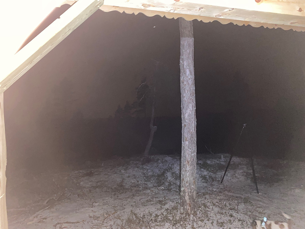 Litt begrenset utsikt fra gapahuken på kvelden nå.