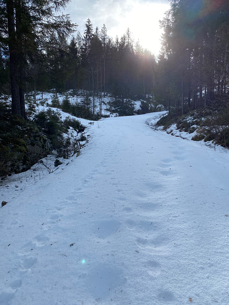 Veien mot Steintjennhøgdene. Ble etter hvert ganske tungt i gradvis mer og mykere snø.