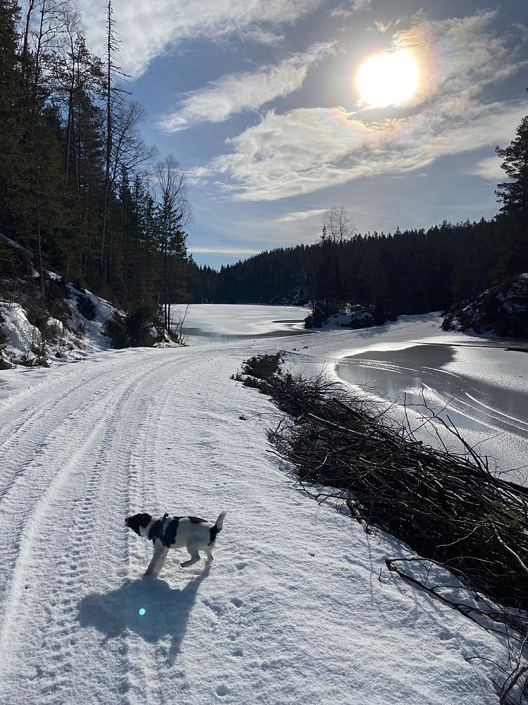 Nydelig ved veis ende der kjerreveien begynner og dermed mer snø og tyngre å sykle.