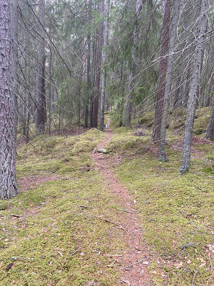 Bart og fint mange steder...