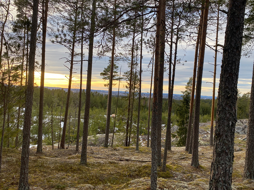 Utsikt fra Vennevålshøgda Sør.