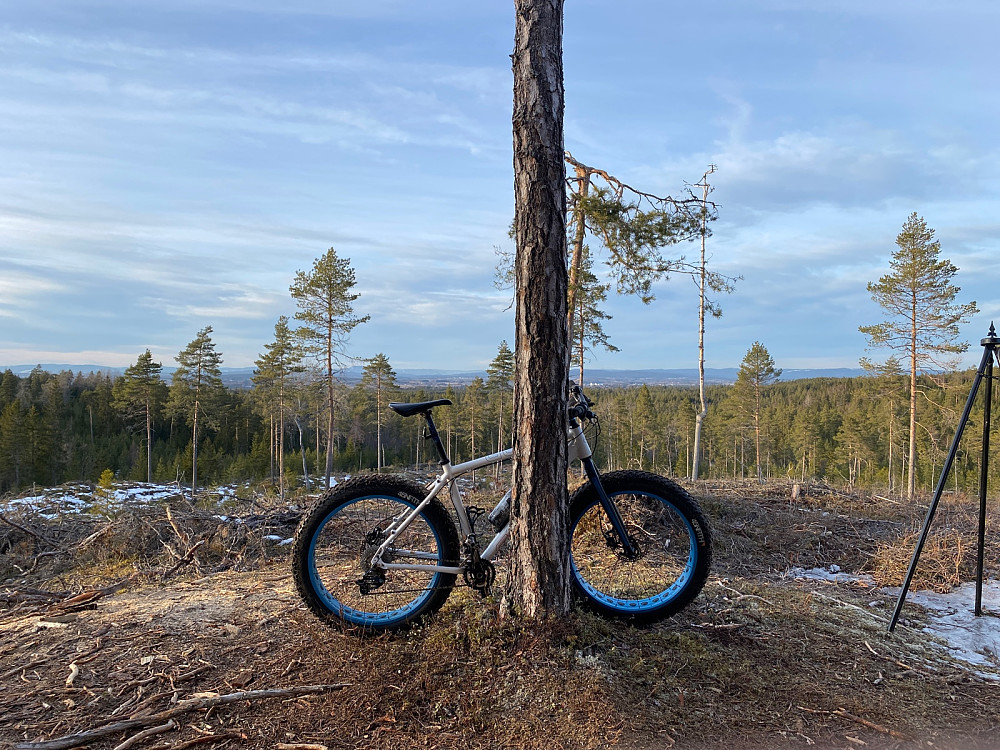 Tatt fra  sykkelklubben sin gapahuk. Retning Mistberget.