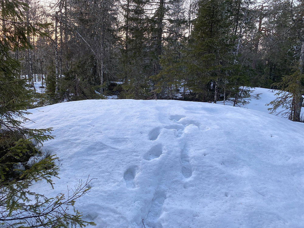 Toppen av Brånan. Tok sin tid…