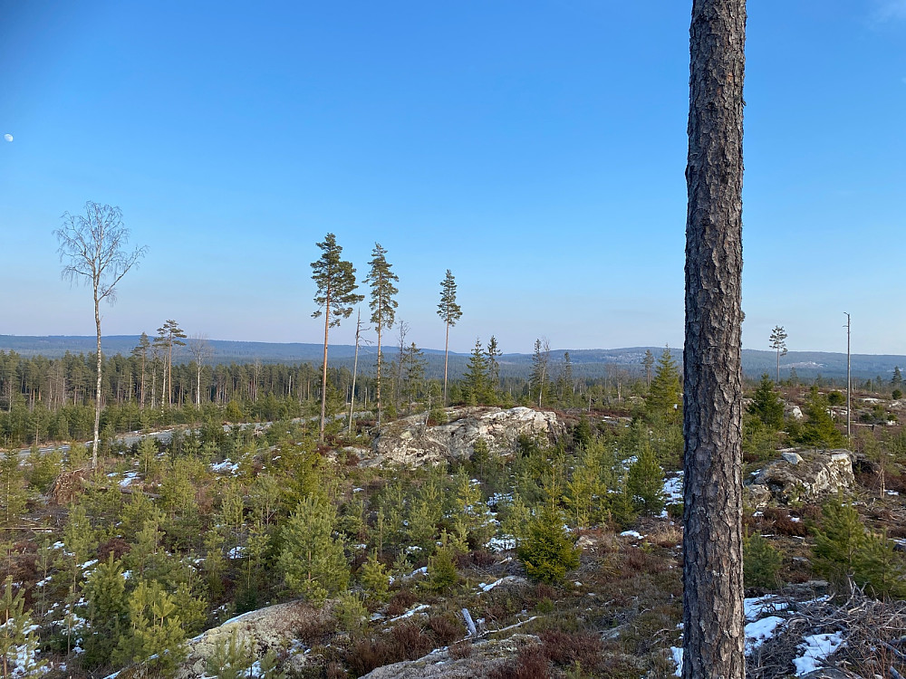 Utsikt fra toppen mot Nes-skauen