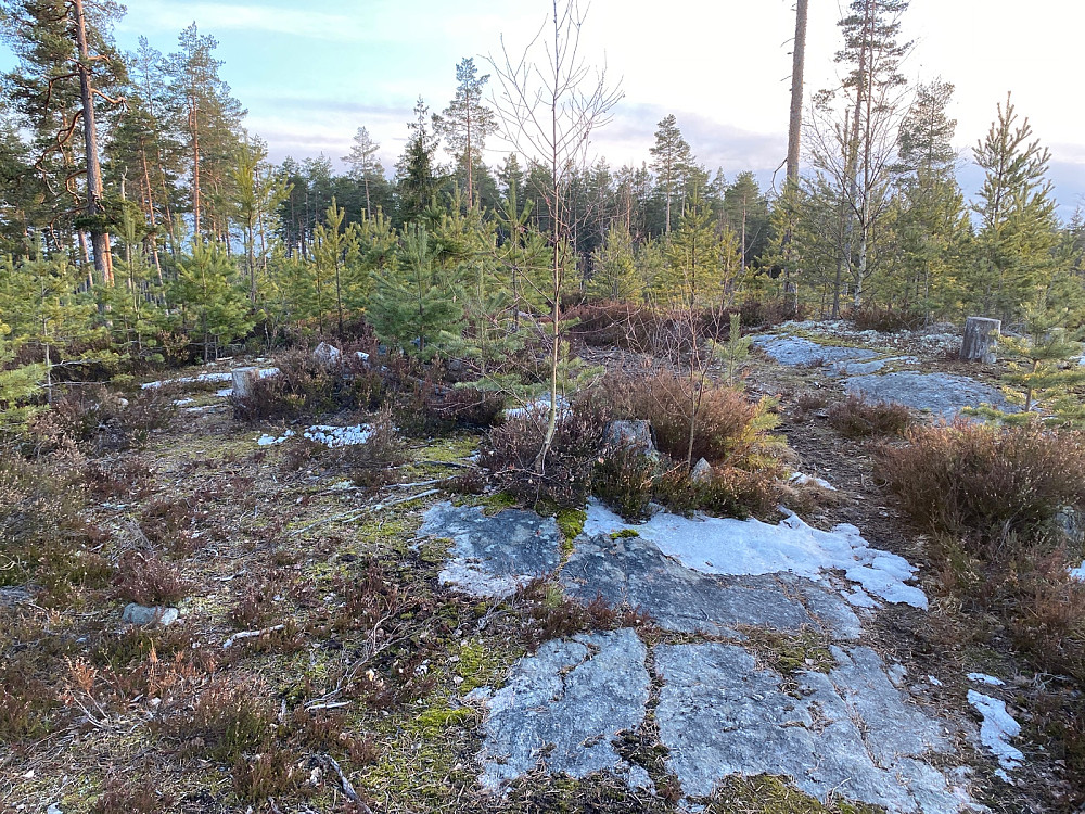 Toppunktet på Rånåsen Sør