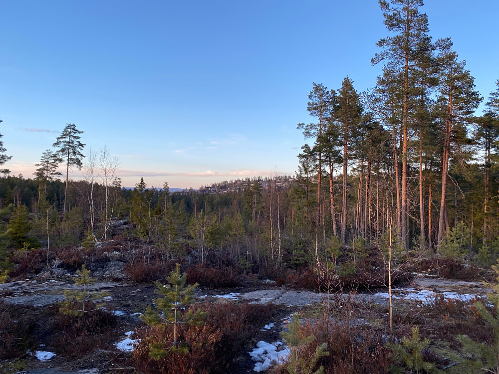 Fra Rånåsen Sør mot Auli