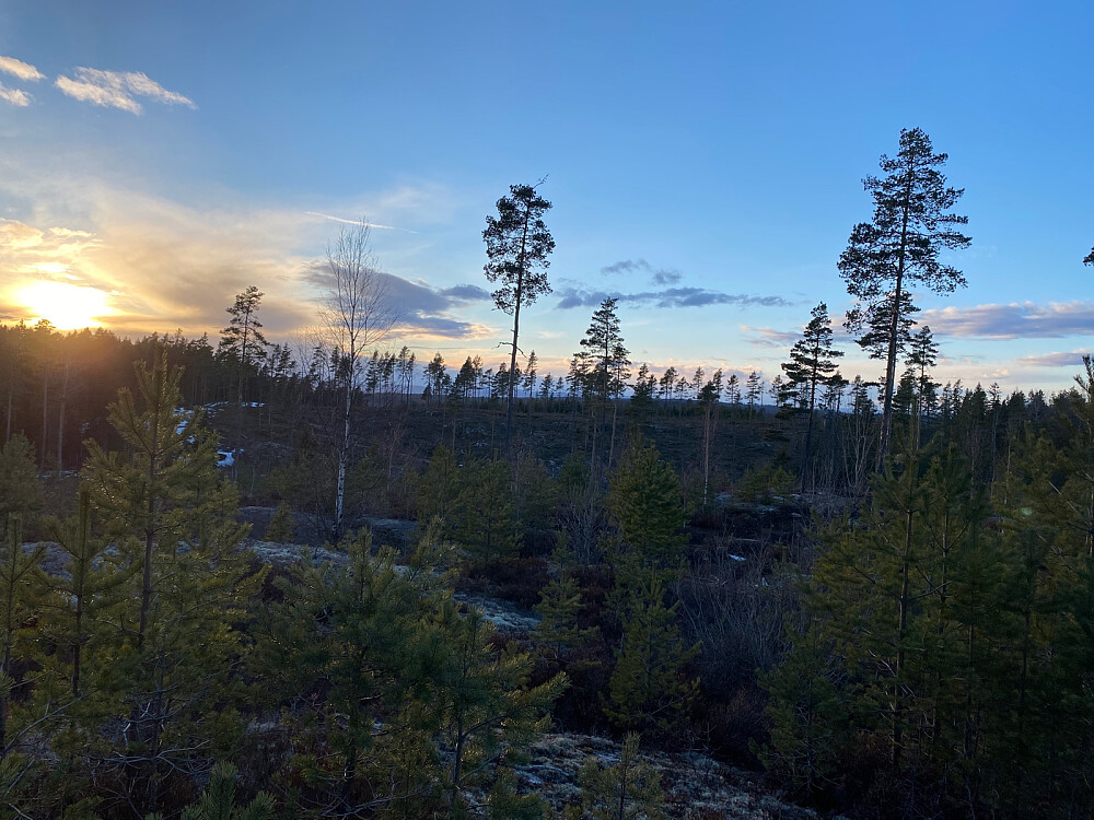 Fra Rånåsen Sør mot Rånåsen (1 m høyere)