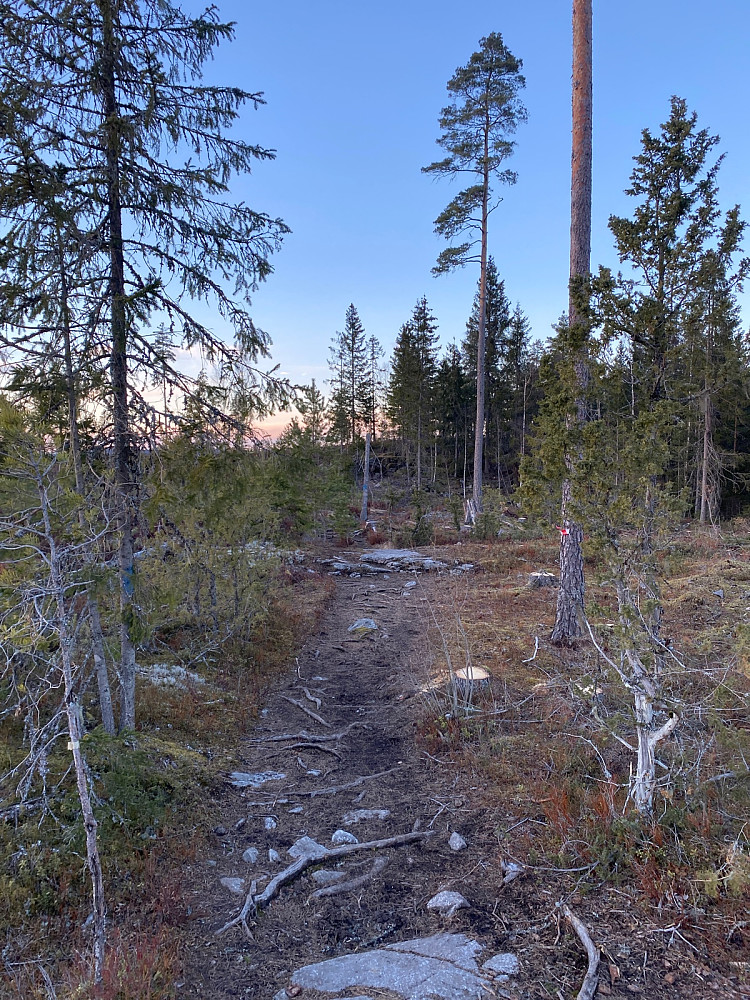 Fra stidelet mot toppunktet på Rånåsen