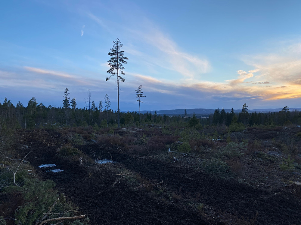 Fra Rånåsen sørøstover