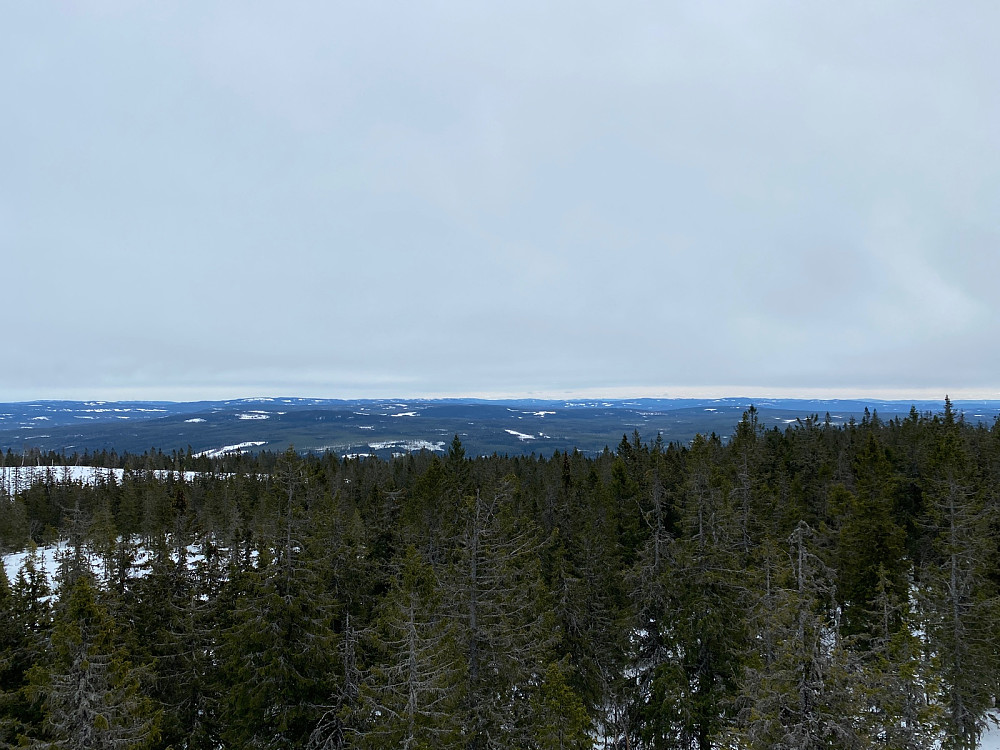 Fra tårnet østover