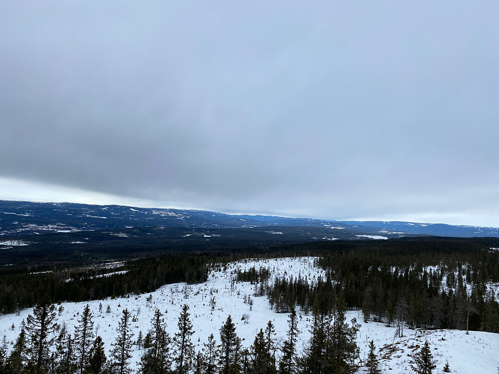 Fra tårnet nordvestover
