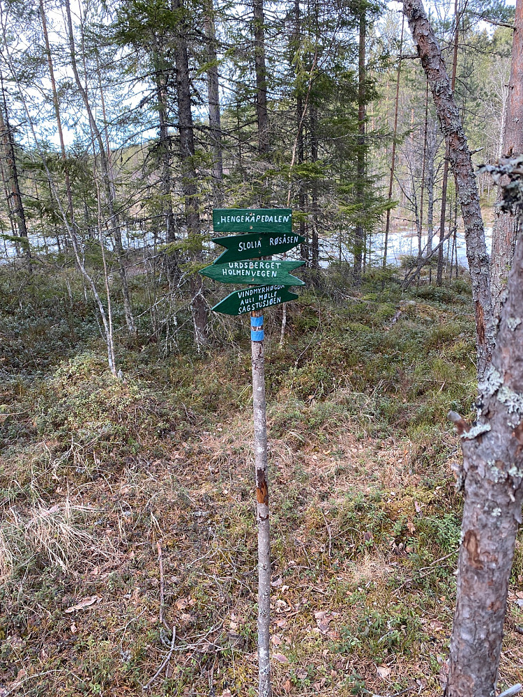 Tok til venstre i dette krysset etter Vindmyrhøgda