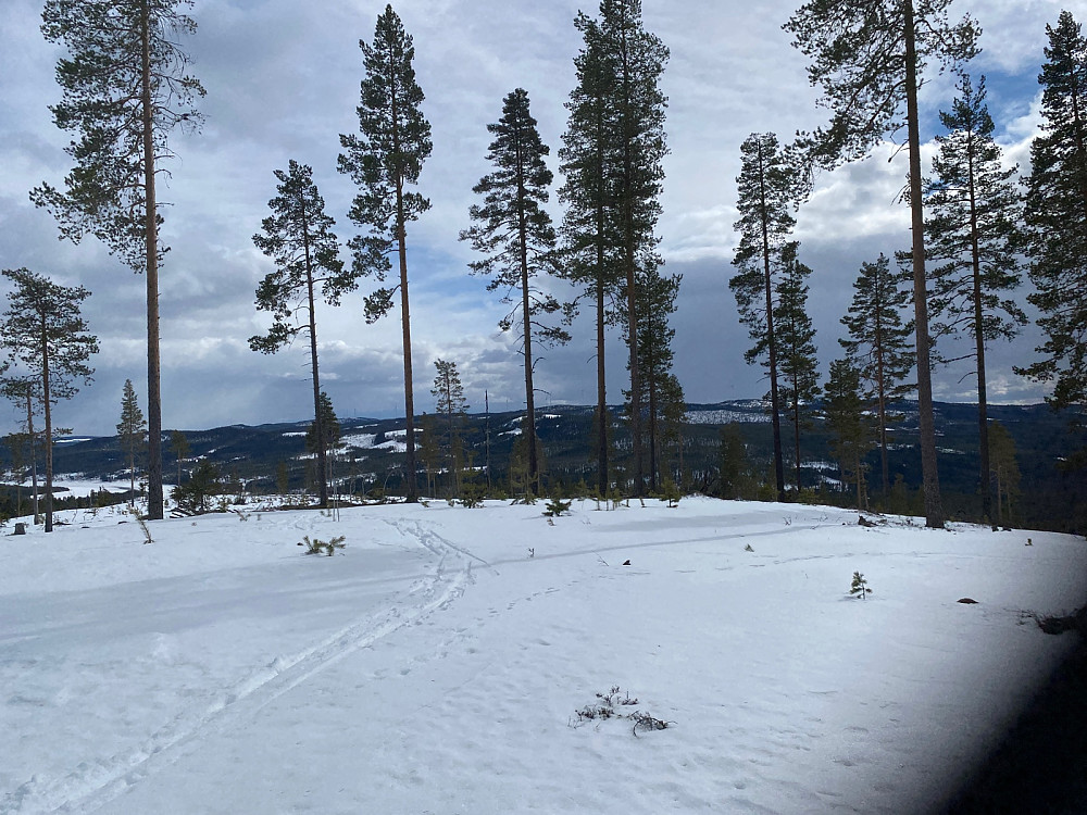 Jøssåsen sørøst, nr 2 av 4, med Raskifte i bakkant.