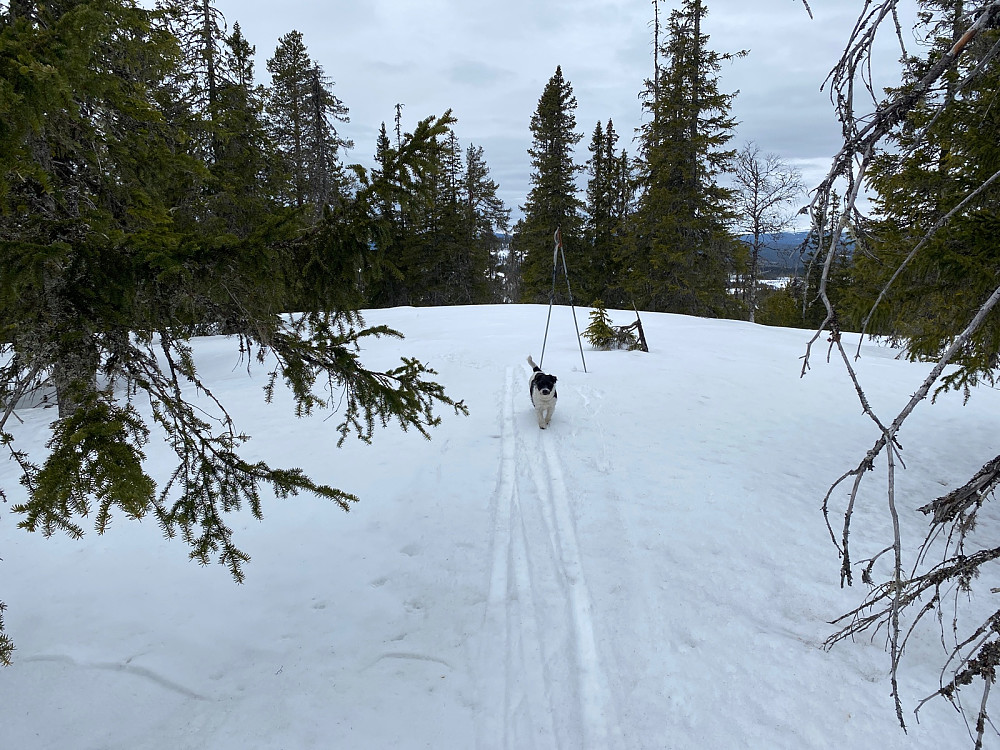Toppunktet på Gardbergskampen