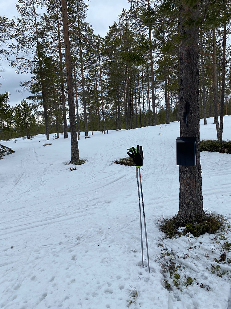 Postkasse med bok og gradestokken som viste 4 grader. Ny skispor oppkjørt hit og videre nordover. Bålplass like bortenfor.