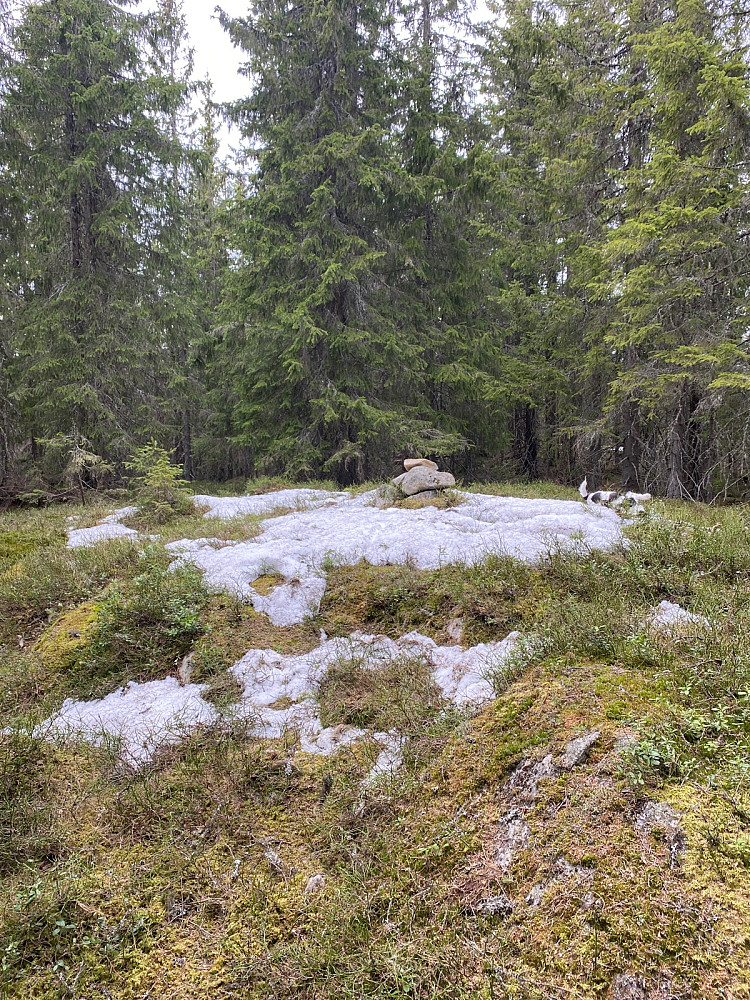 Toppunktet på Botshaugkampen. En enkel og ny Hedmark og Ringsaker pf100