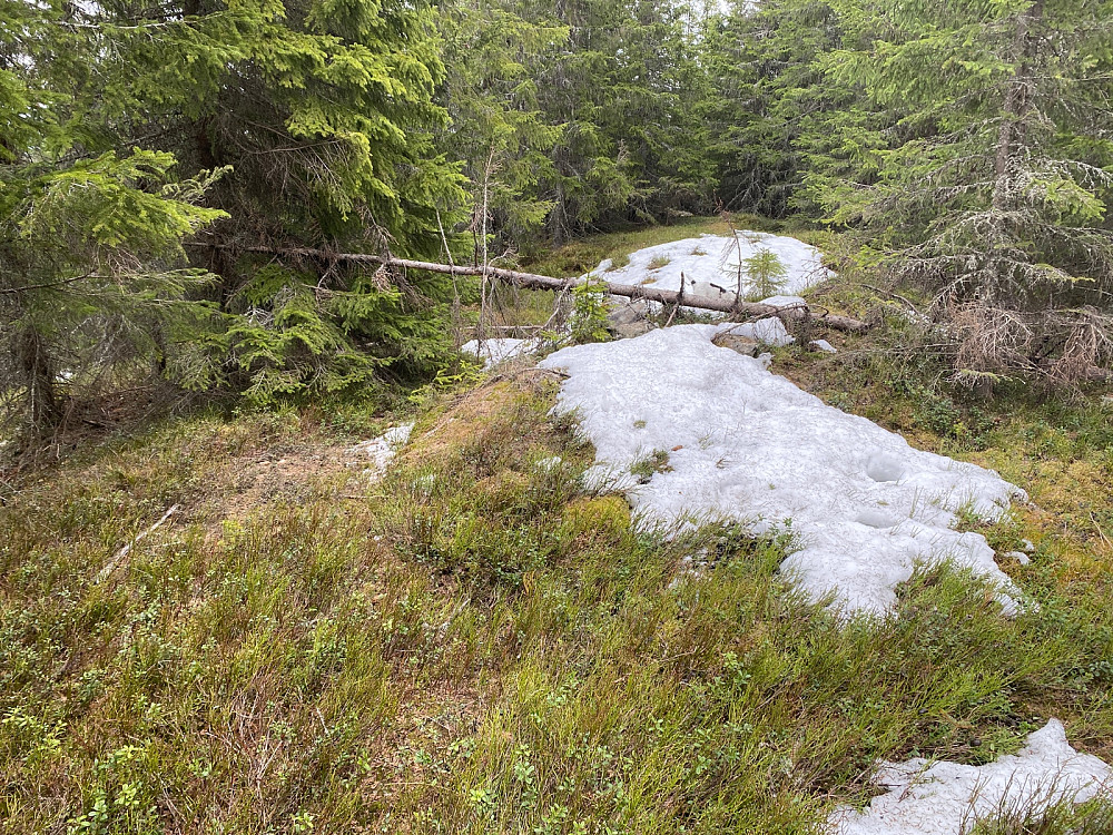 Toppunktet på Skutberget.