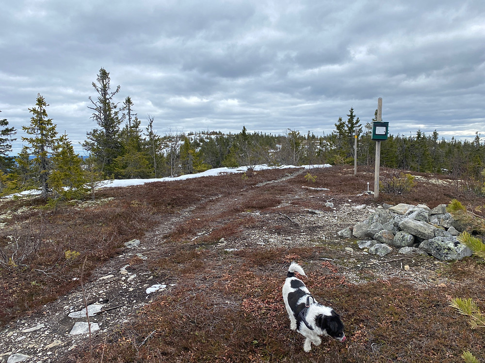 Nordtoppen  på 858 mex Deifjellet og Hytta i bakkant.  puh!!!
