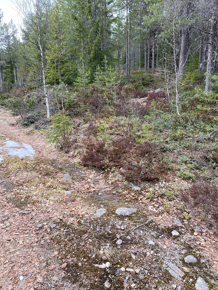 Anbefaler å gå opp til høyre her, der jeg kom ned.