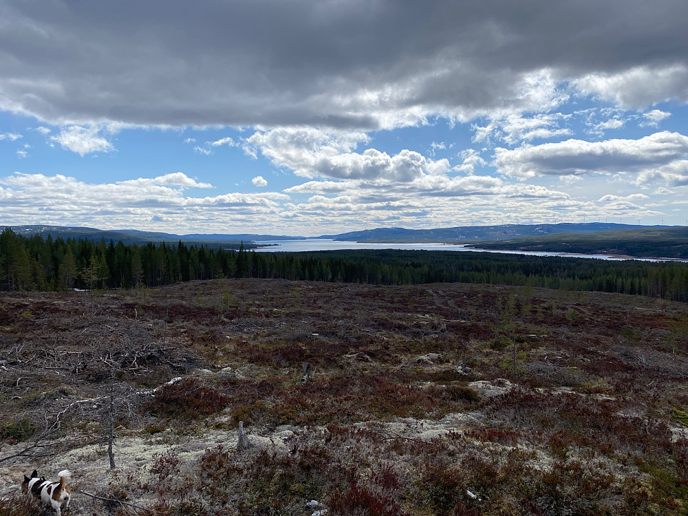 Fra Sollistua mot Osensjøen og Raskifte
