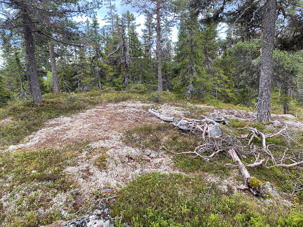 Bålplass 50 m sør for toppen