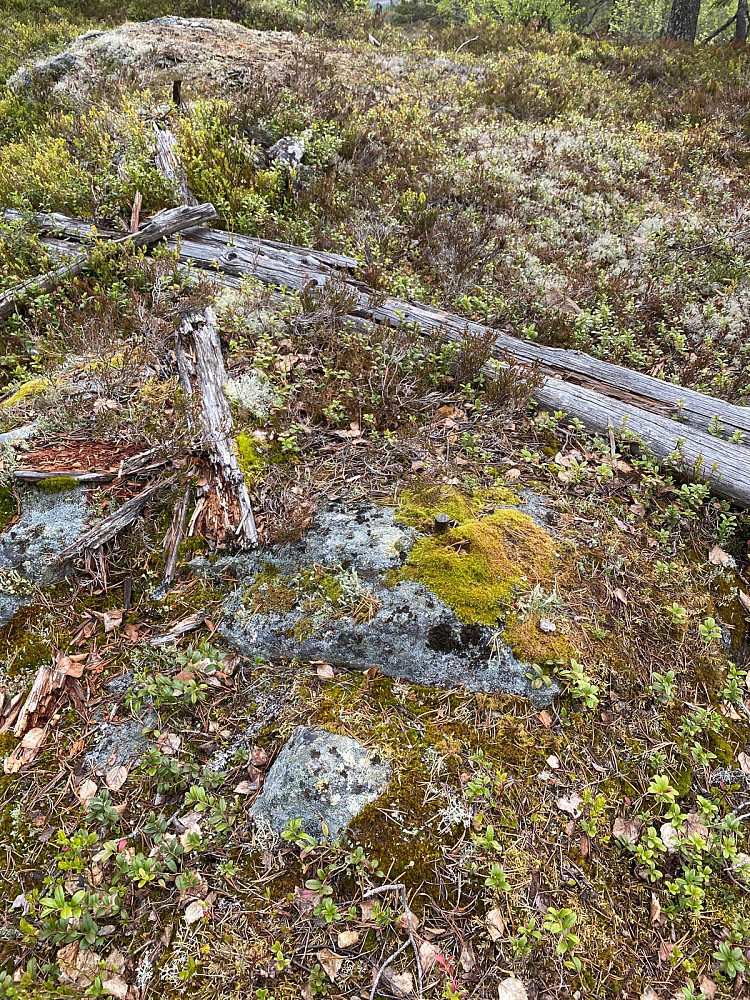 Nord for toppen ved utsiktspunkt var det bolt og rester av et gammelt tårn