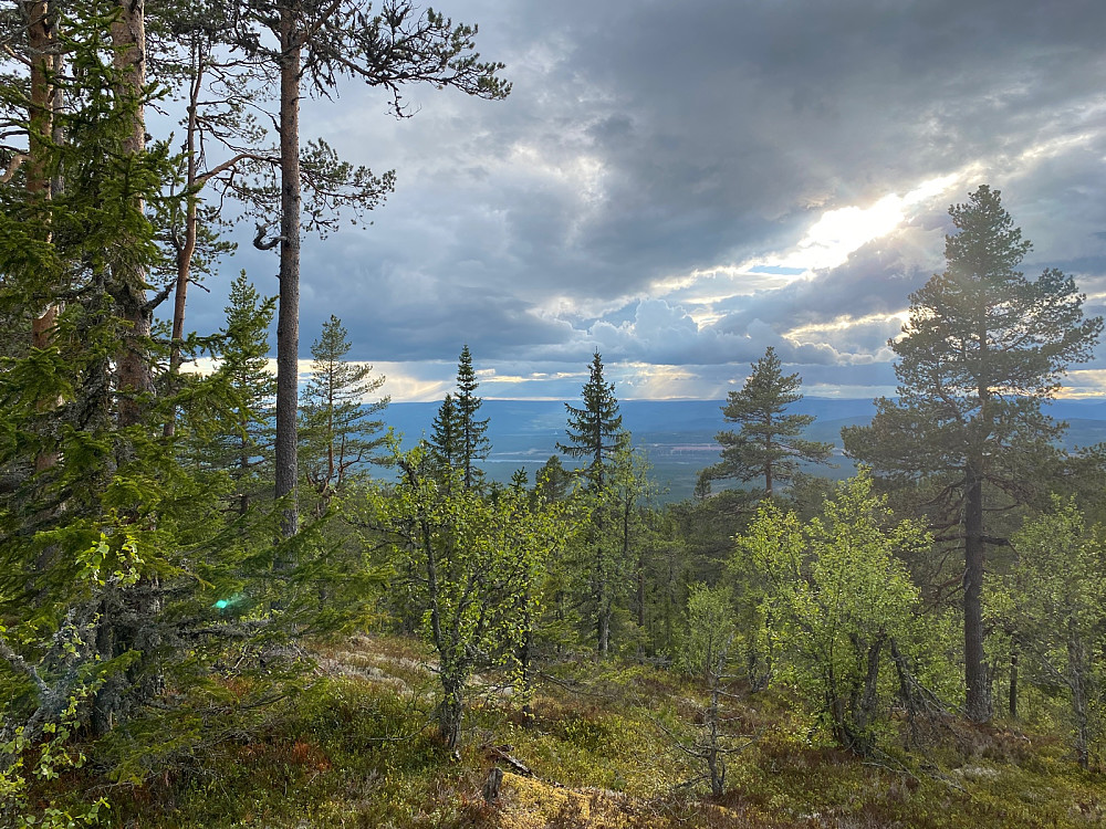Utsiktspunkt mot Rena, tårnet synes