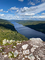 Harex_20220713_62ced4e96f773.jpg