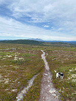 Harex_20220722_62daa2bfabf2d.jpg
