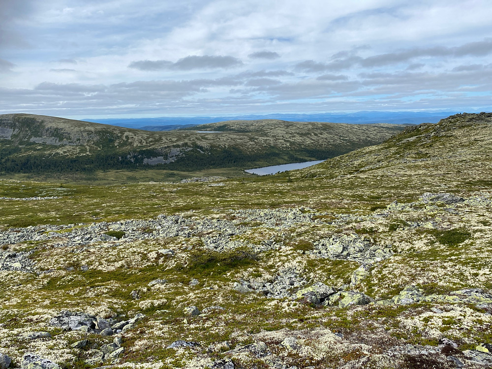Fra skaret mellom Nubben og høyde 1037 mot Søndre Rensjøen og Vamfjellet til høyre og deler av Vestnubben til venstre.