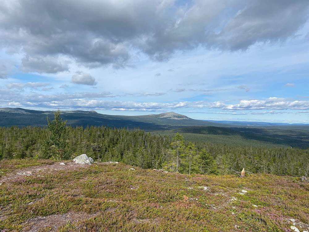Fra toppen mot Trysilfjellet