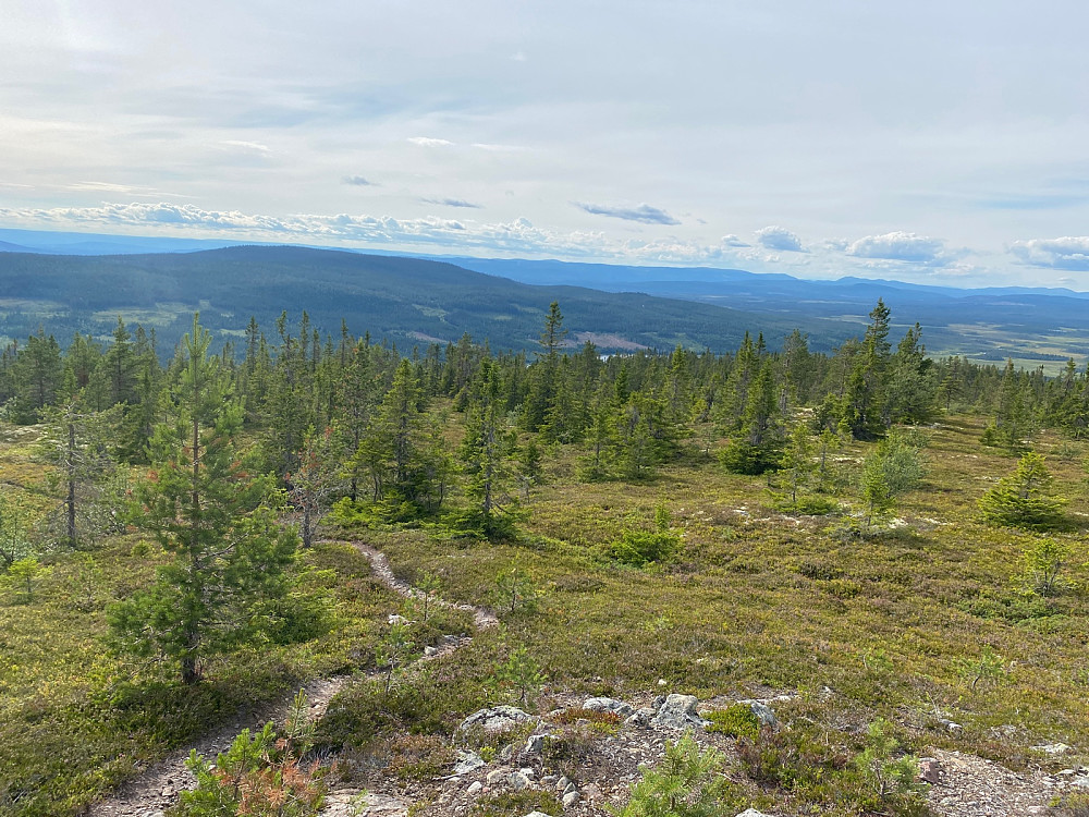 Fra toppen mot Tilsetfjellet. Nore Ulvsjøen kan skimtes omtrent midt i bildet
