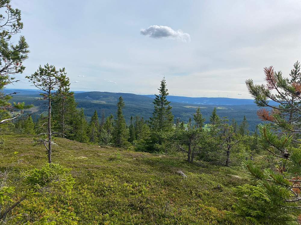 Mot Munkesjøberget og Osensjøen