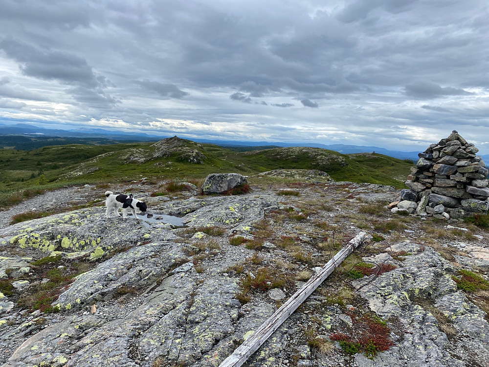 Fra Myssmørhelje mot Hindalsfjellet og Gammelhans