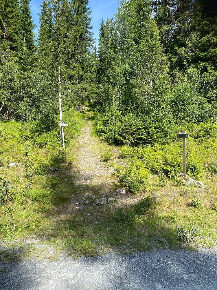 Hovedstien til toppen fra p-plass 660 moh