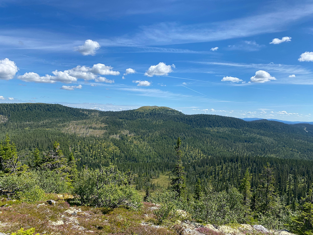Vesle Byringen