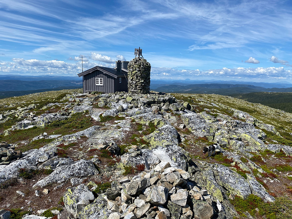 Toppen etter 1.05t. God lunsj på benk i le av hytta.