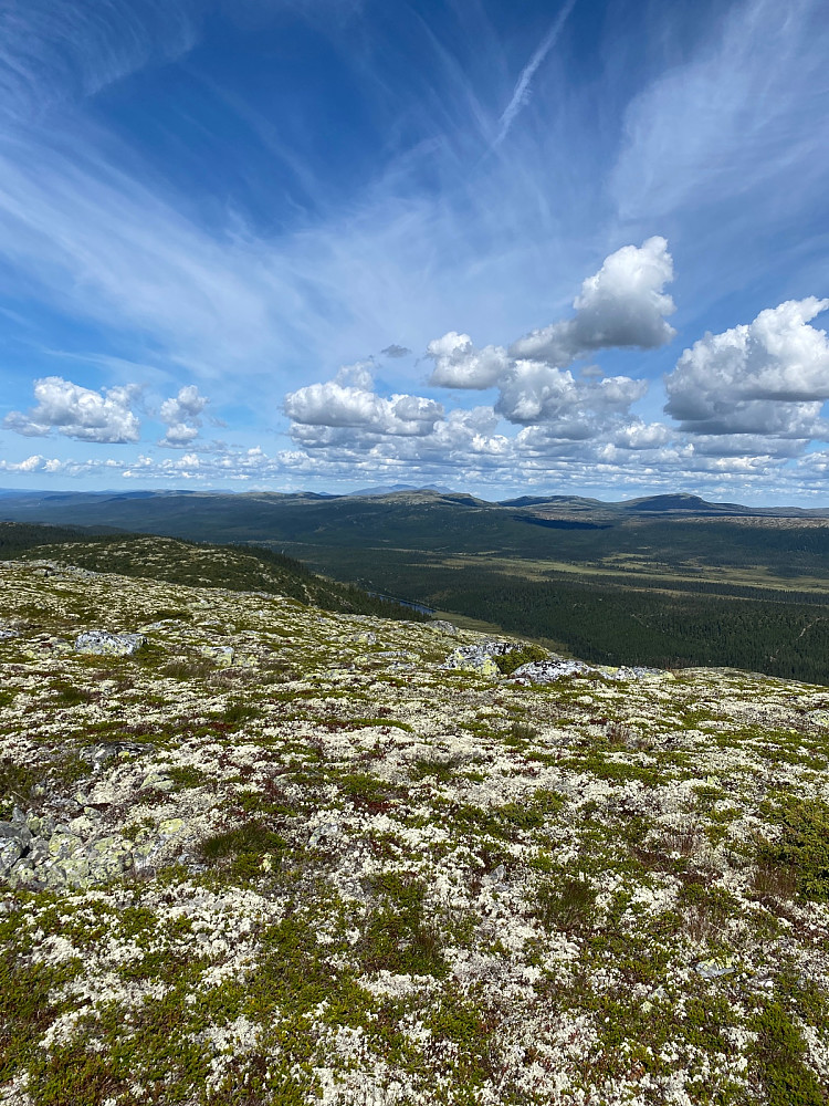 Sølen er overalt.