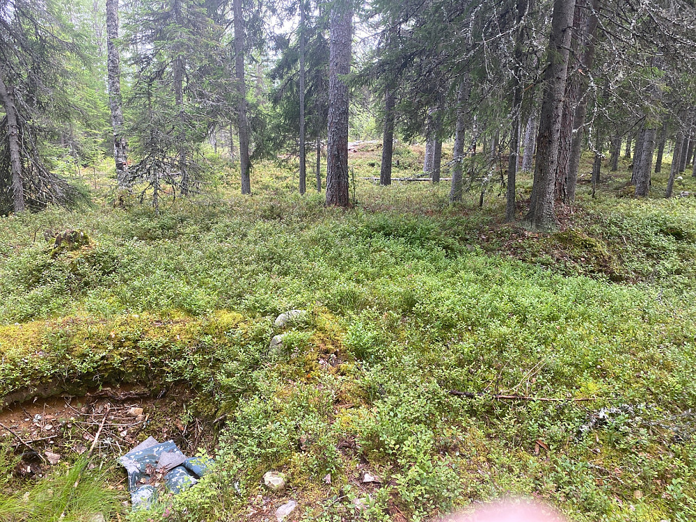 Sør for Sjøbua