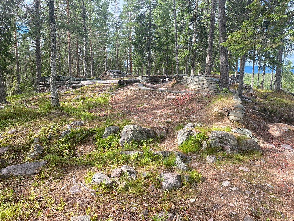 Sør for Store Yglesjøen. Øvingsområde med mye skytestillinger