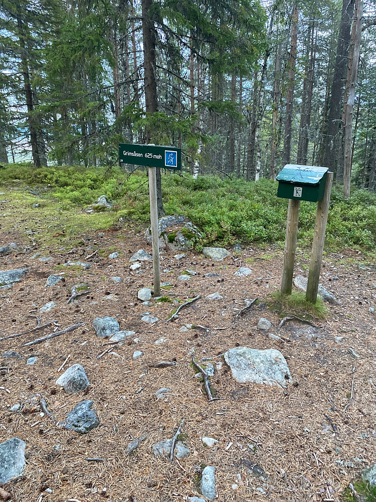 Toppunktet etter 25 min og meget høy puls.
