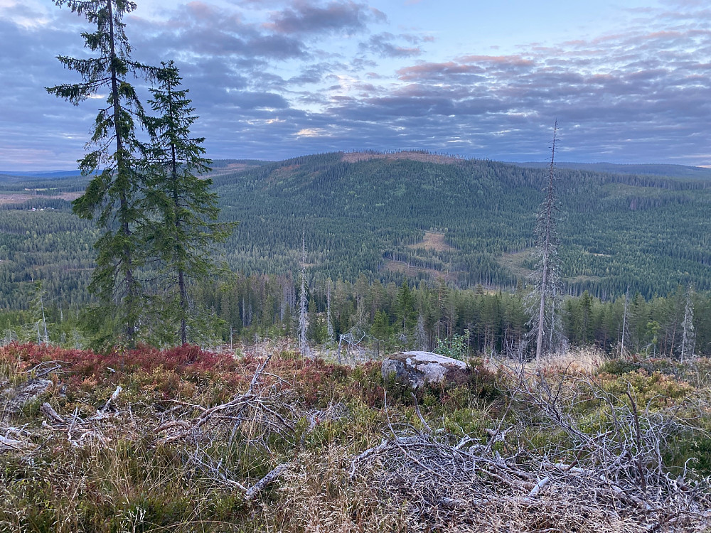 Fuglberget, 741 moh, fra Grimsåsen.
