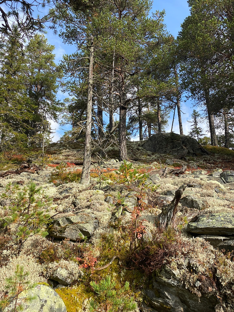 Bratt siste biten mot toppen også