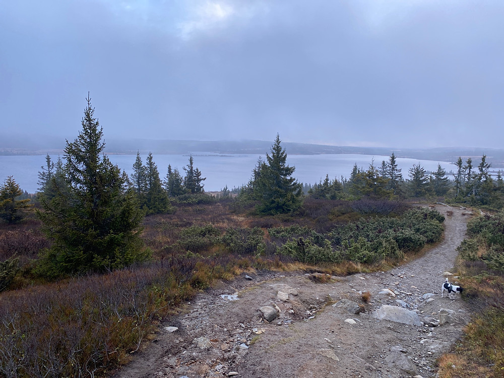 Reinsvatnet