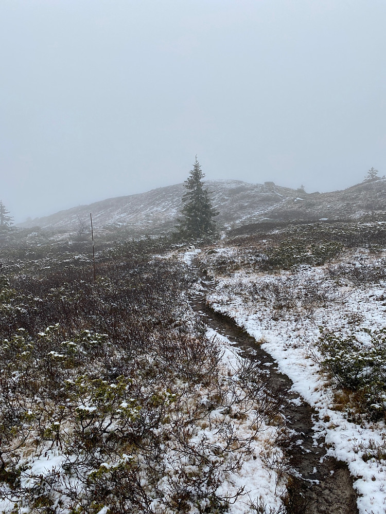 En stor haug forut…