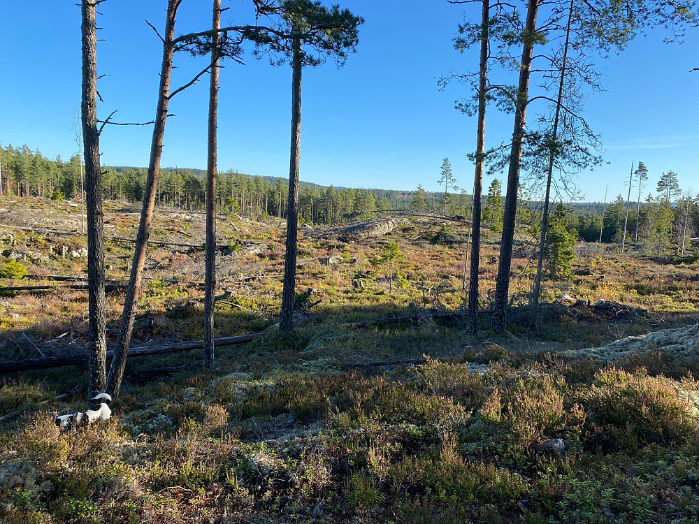 Fra Vennevålshøgda