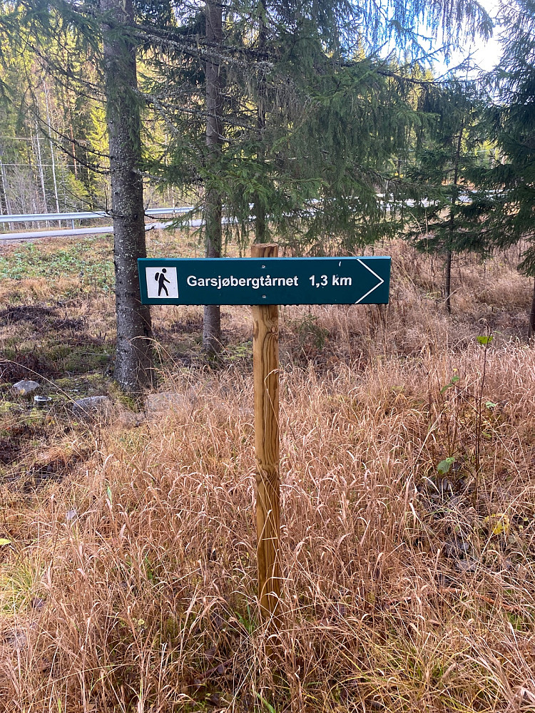 ingen tvil om retningen