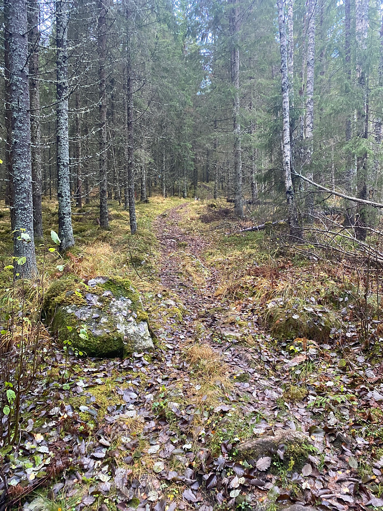 fin sti oppover lia